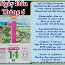 Nguyễn Thị Hảo Trang  