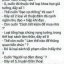 Trần Phương Tuyền