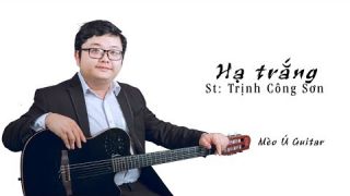 Hạ Trắng (St Trịnh Công Sơn) guitar solo | Mèo Ú Guitar