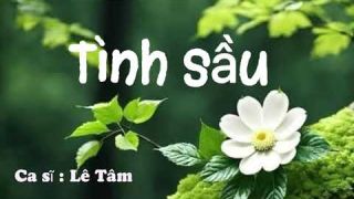 Tình sầu / St : Trịnh Công Sơn / Ca sĩ : Lê Tâm