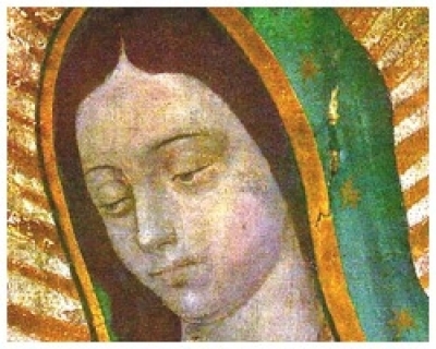 Bức hình Ðức Mẹ Guadalupe