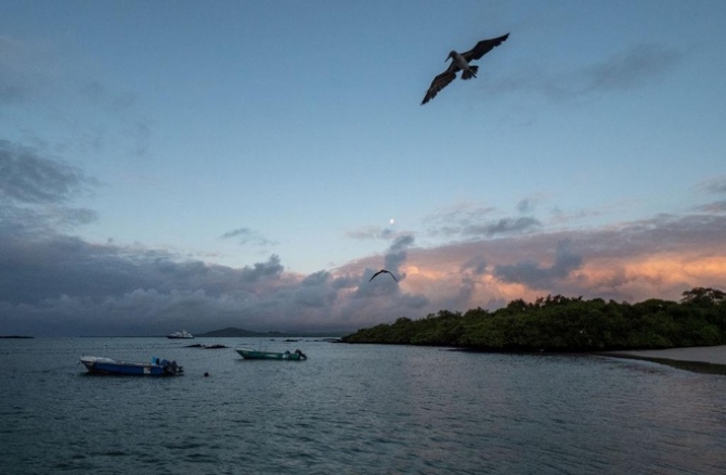 Vương quốc của loài vật: Quần đảo Galapagos - Trịnh Thanh Thủy