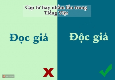 Tiếng Việt Kinh Hoàng Ở Trong Nước