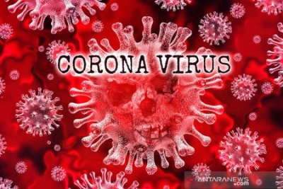 Những gì bạn cần biết về virus corona gây ra