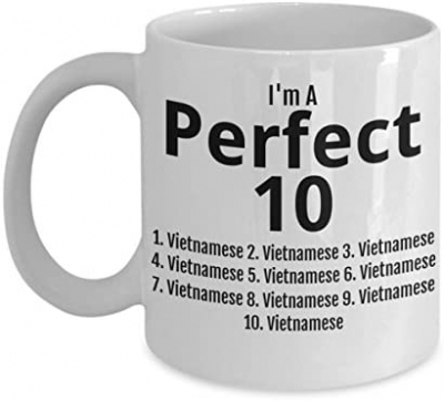 I'M A PERFECT VIETNAMESE - TÔI LÀ NGƯỜI VIỆT NAM HOÀN HẢO